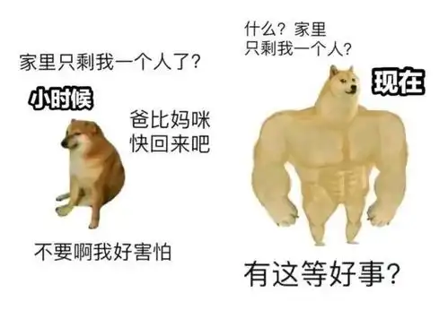 咩咩子表情包狗子