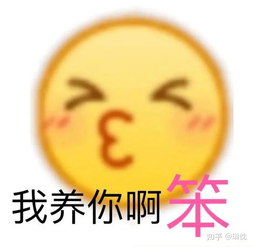  你有哪些关于王思聪和孙一宁事件的表情包和经典语录,可以分享一下吗