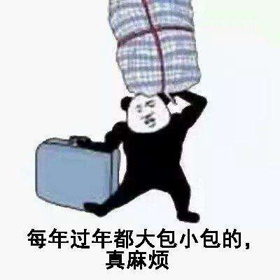 装逼表情包火车票