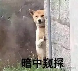  世界裸骑日降临英国一大波白花花正在靠近