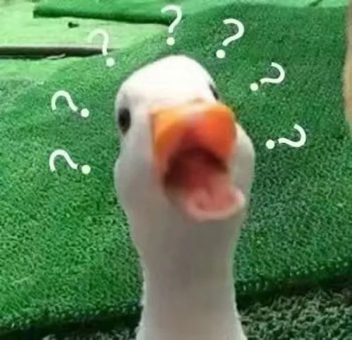 一组沙雕问号表情包