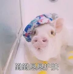 90后老了表情包养生