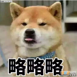 略略略图片略略略表情包下载乐游网游戏下载