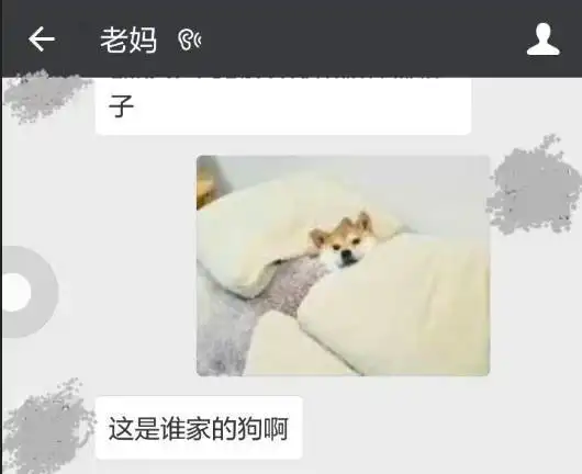 仅凭一张图片妈妈就判断出女儿怀孕有一种代沟叫爸妈看不懂我的表情包 仅凭一张图片妈妈就判断出女儿怀孕有一种代沟叫爸妈看不懂我的表情包