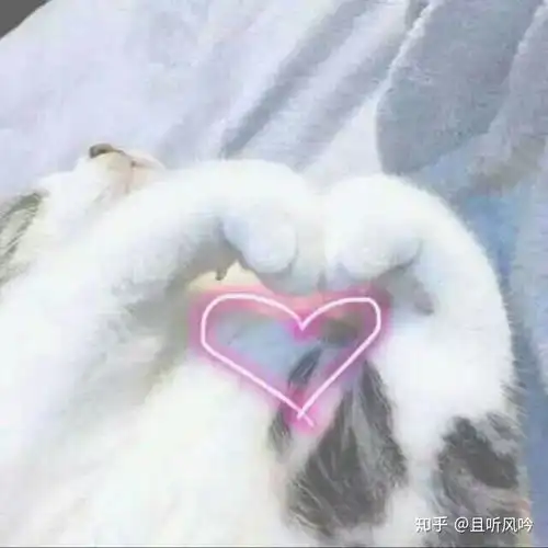  我们总是在歌里听出了自己的故事