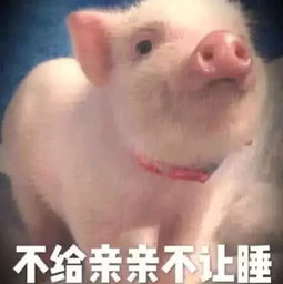  大猪蹄甜到齁的5张表情包,第2暖哭,第3直接撂倒女友