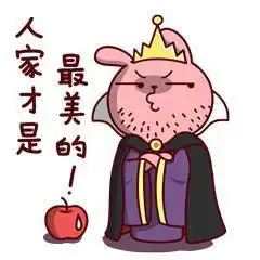  和公主病重度患者聊天是一种怎样的体验