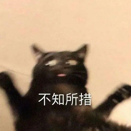 丧黑福造表情包天花