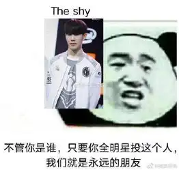  一年一度的粉丝p图大赛lol全明星花式拉票,表情包层出不穷