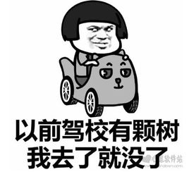  考驾照搞笑表情包大全考驾照搞笑表情包图片下载v1.0.2最新版暂未上线预约心愿游戏