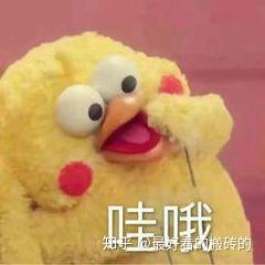  请问这种玩偶表情包具体叫啥大家有收藏的可以分享一下吗谢谢谢谢