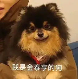  一个比一个好吸,她们才是饭圈公认的情敌