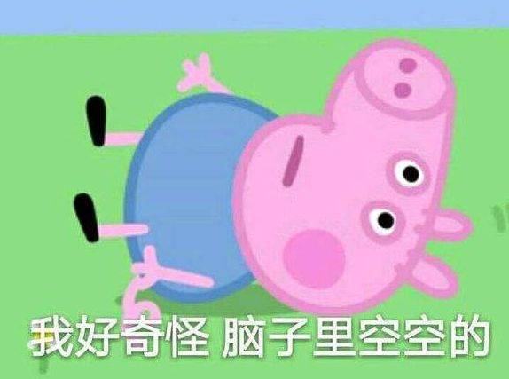 猪表情包动图小猪