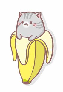  香蕉猫表情包