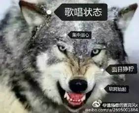  南昌的大学生请用一个表情包形容你的专业