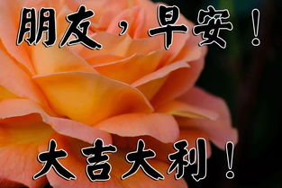  早上好问候语动态图片大全早晨好表情包2019