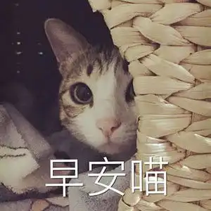  今日份的猛男表情包来了哟