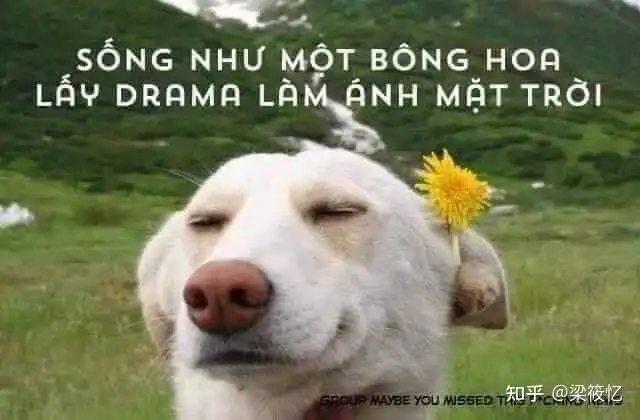  越南网友在线吃瓜瓜表情包
