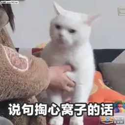  比枪手势图片说句掏心窝子的话表情包下载乐游网游戏下载