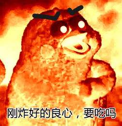  红烧良心脆皮鸡表情包无水印豪华版