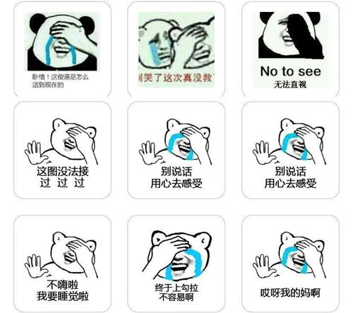  这些表情包的原型,竟然是ta们