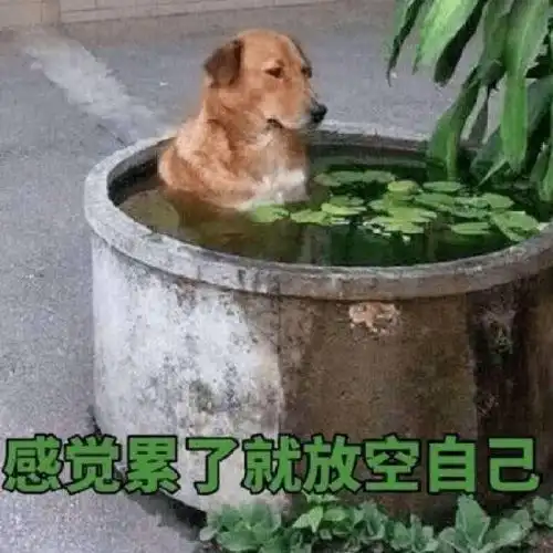  你的精子正常吗建议想啪啪的男生都进来看看