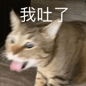  抖音表情包今天晚上睡你有空吗