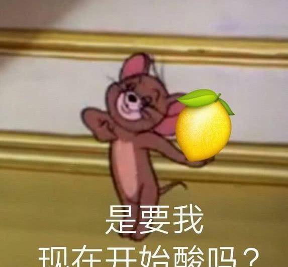  安迪和小包总婚后互虐刘涛和杨烁的新剧画风真的太新奇