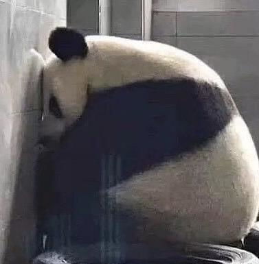 地铁老头看手机表情包