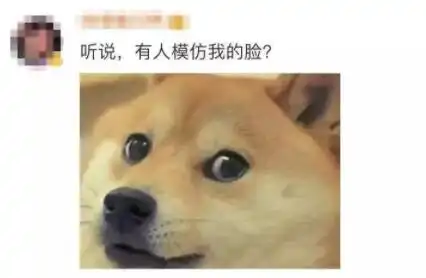  微信的社会社会狗头你用了么你中意的又是哪个