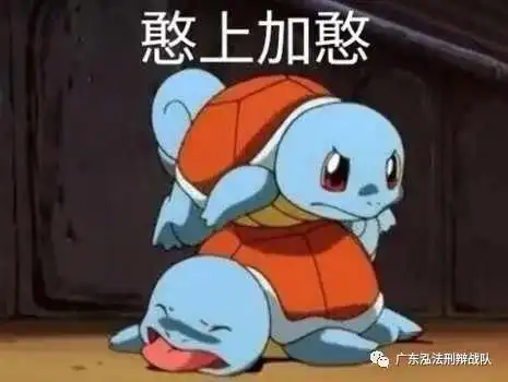  网购宠物需谨慎