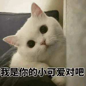  这是一篇被刷了屏的双标人群现形记