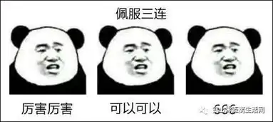  一大波最新表情包来袭,古人棺材板我帮你们住了