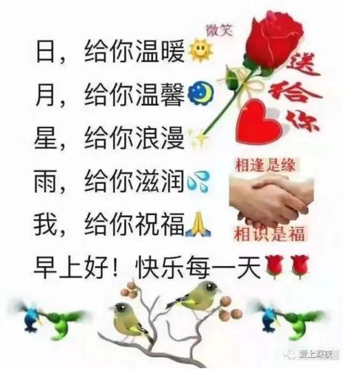  3.31最暖心的一句话
