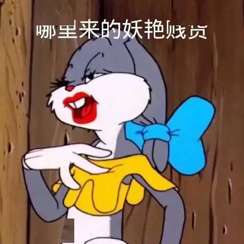  今日份表情包