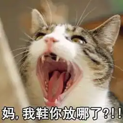 你在吗的表情包猫咪