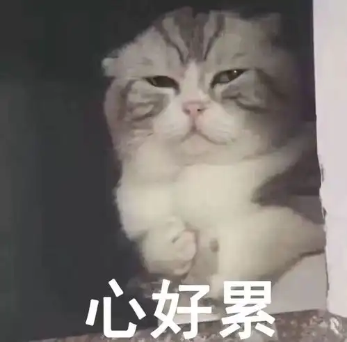  领养猫咪被要求买配套高价猫粮多位消费者因拒买被商家告上法院