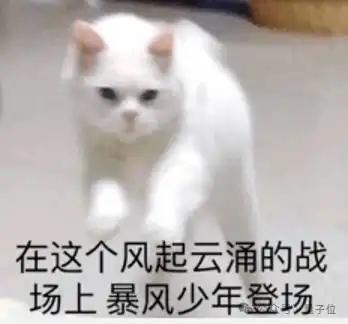  最神秘国产大模型团队冒泡,一出手就是万亿参数moe,两款应用敞开玩