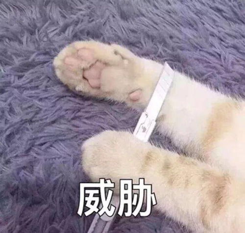  黄晓明夫妇久违合体反被嘲,越来越少女的baby要步好姐妹杨幂后尘吗