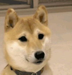 马宝国闪电五连鞭表情包