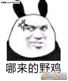  爸爸这就来表情包我带你上分表情包图片下载乐游网游戏下载