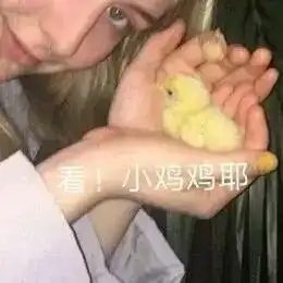  不敢相信90后老阿姨热衷收藏的表情包竟然是这类