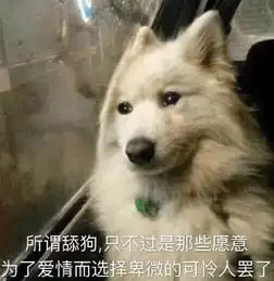 你可能不信,我的第一任男朋友是头狼