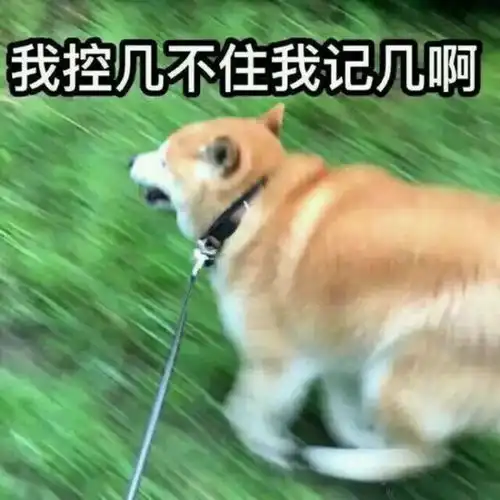 比格猎犬表情包谢谢