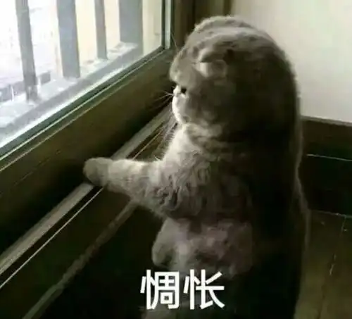  达州全搜索跟踪曝光南城这个楼盘最新情况来了,所有业主都在等