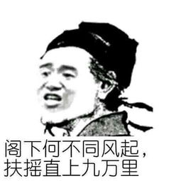  大鹏表情包
