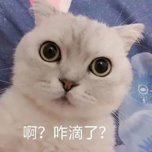  我迷糊中把脚放进去,果然劲很大,我也是服了