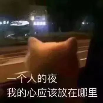  抖音热门表情包一个人的夜我的心应该放在哪里