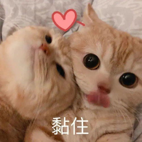  鹊说开学季福中医美食指南快收好