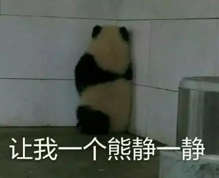  可爱的熊猫表情包合集
